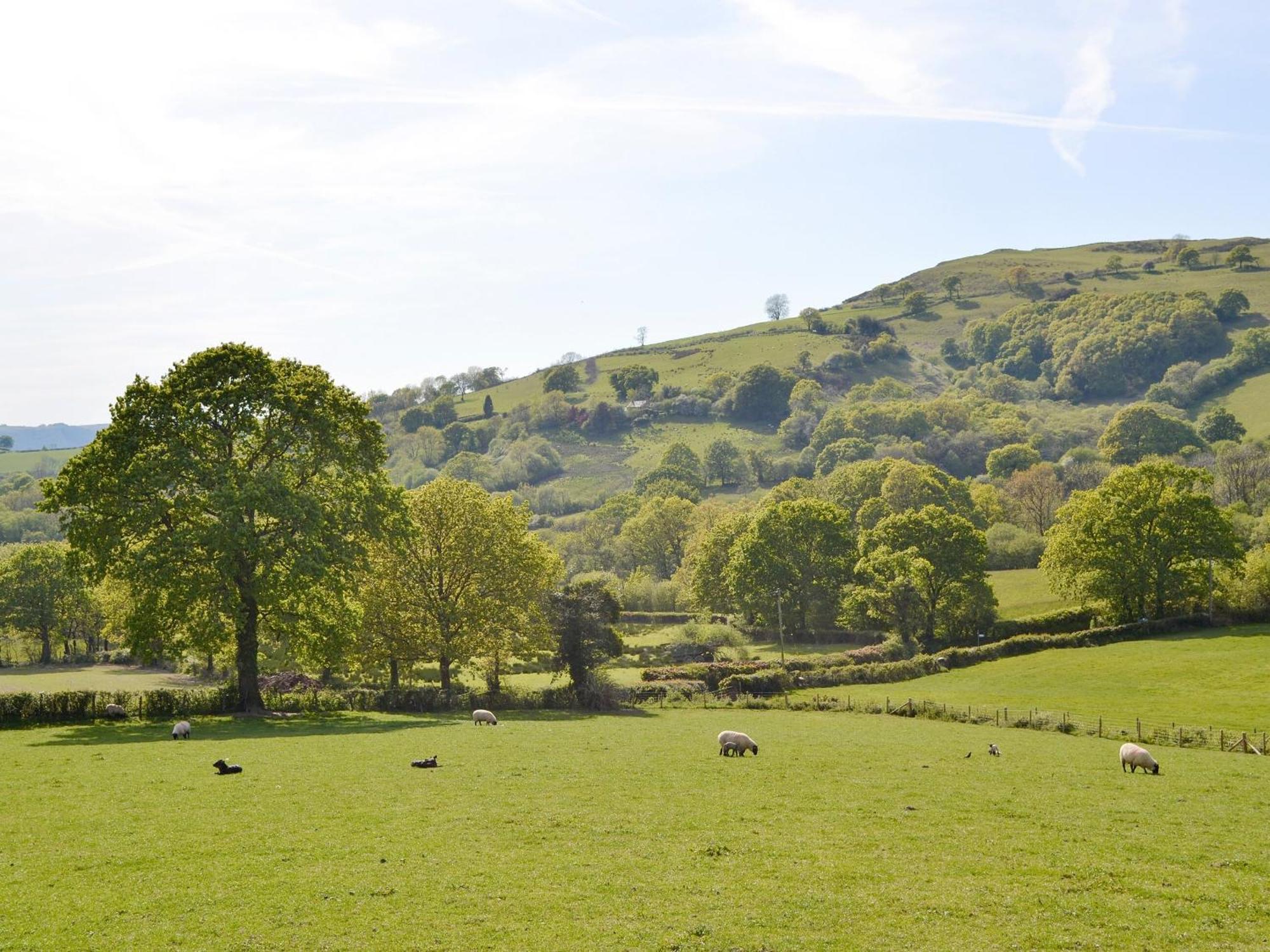 Maes Y Bryn Farmhouse Llanwrda Eksteriør billede